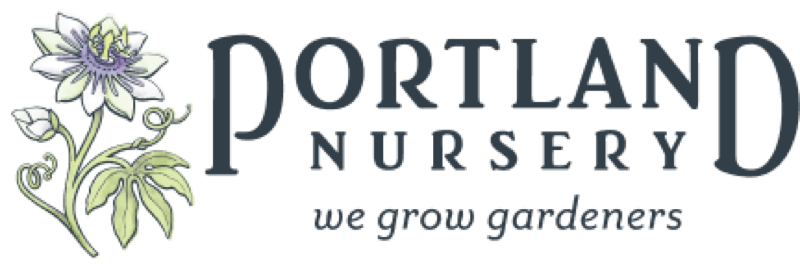 Portland Nursery