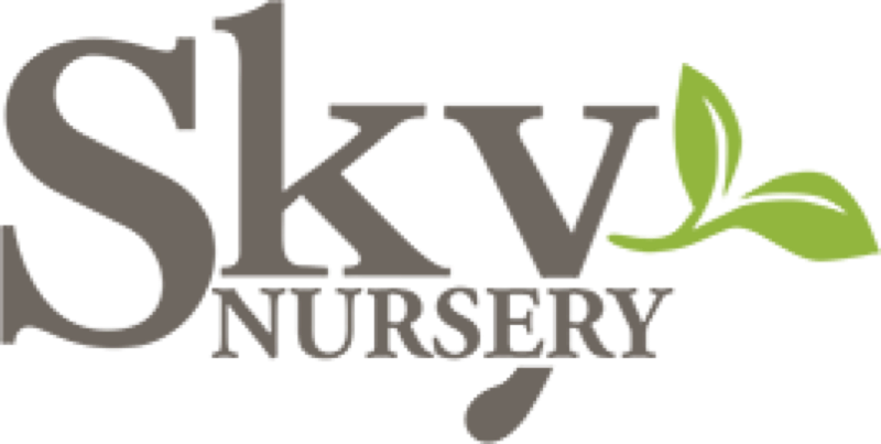 Sky Nursery