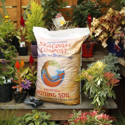 SeaCoast Potting Soil