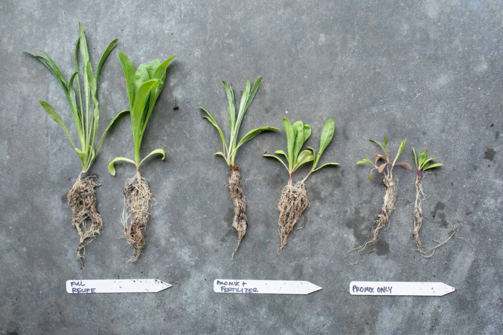Floret potting soil test